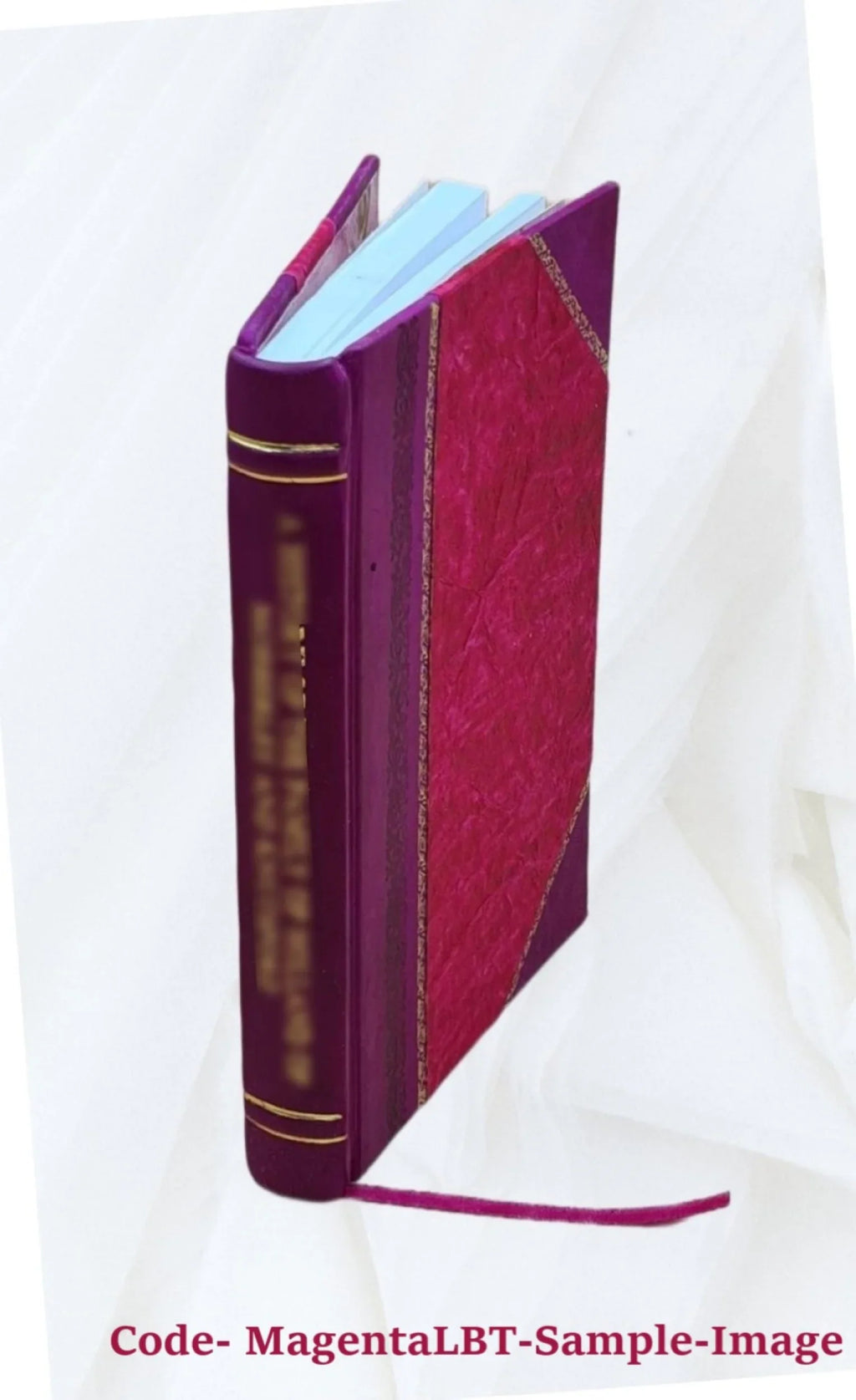 Secret du lion, la Serviette enchantée, l'Âne aux écus d'or et Maître Bâton frappant. Salomon le Grand-roi et les huppes aux couronnes d'or 1898 [Leather Bound]