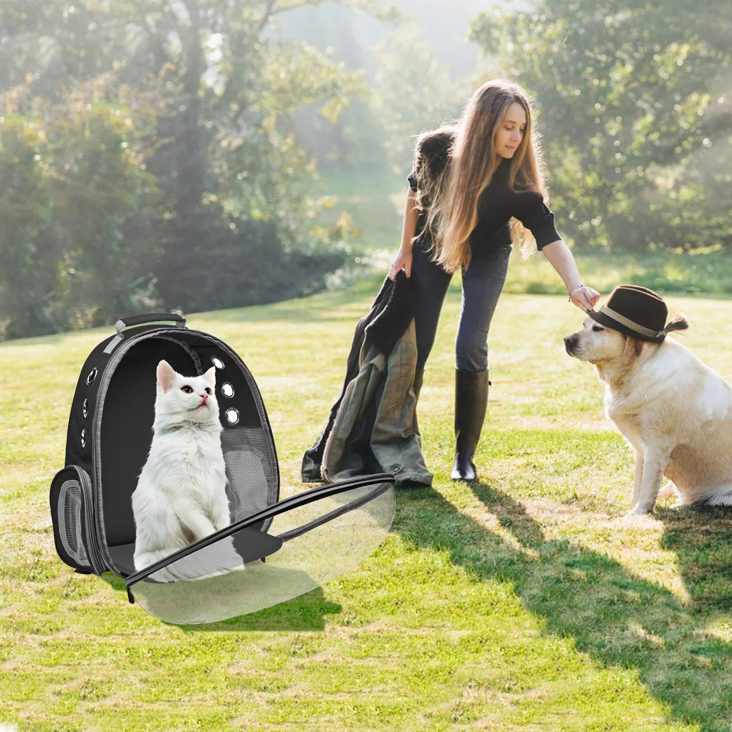 Bubble Pet Carrier Backpack,Airline-Approved Cats and Puppies,Designed Travel, Hiking, and Outdoor Adventures