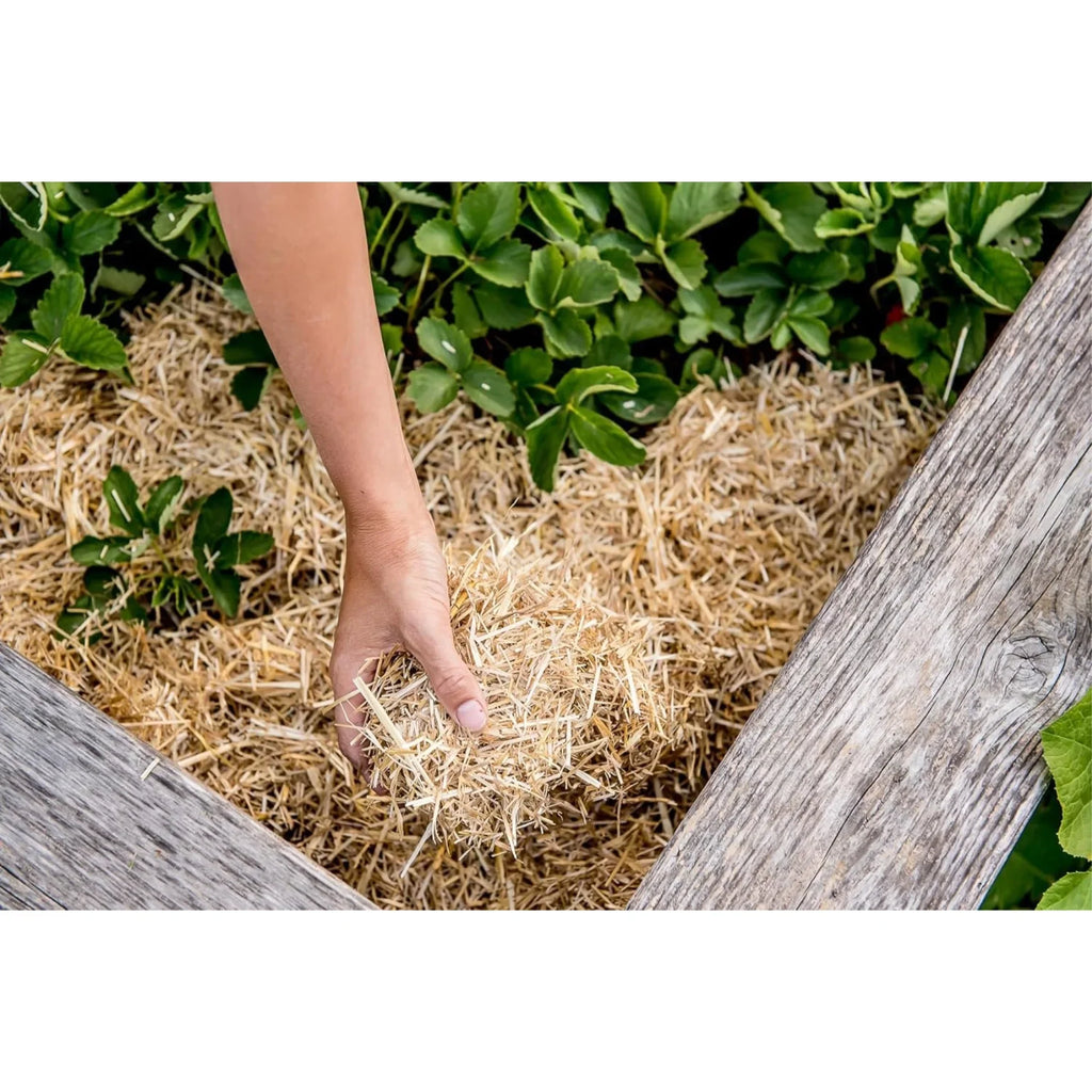 HealthiStraw GardenStraw Clean Premium Straw Mulch Gardening, Lawn Seeding and Composting, 3 Cu Ft (Garden Coating 100 sq ft)