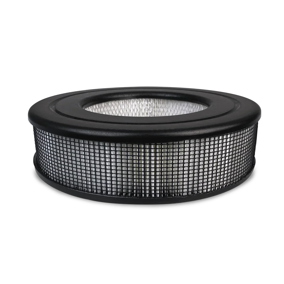 Honeywell Air Purifier Replacement Filter, HRF-D1, D HEPA Filter, 1 Pack