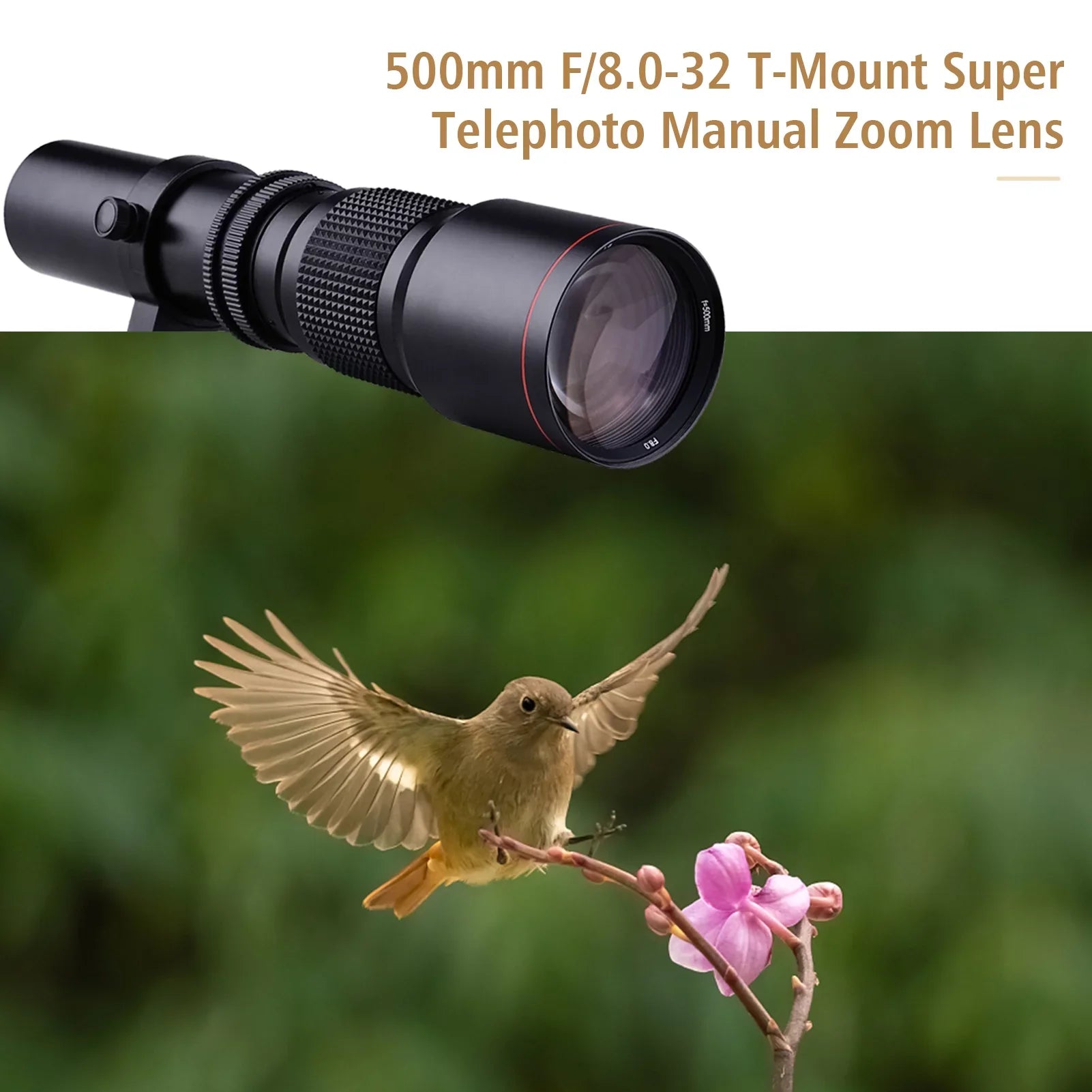 Aibecy 500mm F/8.0-32 Multi Coated Super Telephoto Lens Manual Zoom + T-Mount to NEX E-Mount Adapter Ring Kit Replacement Sony A9 A7 A7R A7S A5000 A6000 A6500 NEX-7 NEX-5 NEX-6 Cameras