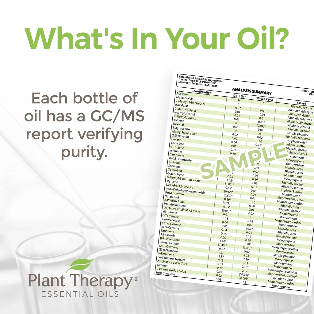 Plant Therapy Peppermint Essential Oil 100% Pure, Undiluted, Natural Aromatherapy, Therapeutic Grade 100 mL (3.3 fl oz)