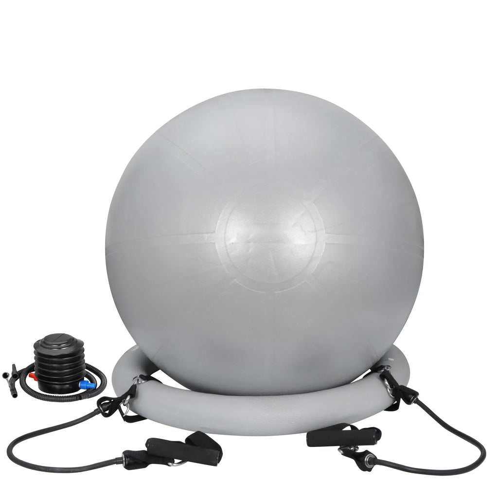 ZENSTYLE Exercise Ball Fitness Balls Stability Ball Anti- Burst Yoga,Pilates, Birthing, Balance & Fitness with Workout Guide & Quick Pump
