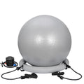 ZENSTYLE Exercise Ball Fitness Balls Stability Ball Anti- Burst Yoga,Pilates, Birthing, Balance & Fitness with Workout Guide & Quick Pump