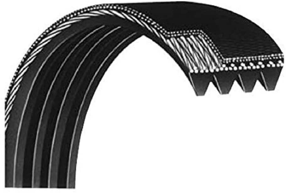 Precor Crosstrainer Wider Main Drive Belt Works EFX 556i 576i C534i EFX10 Elliptical