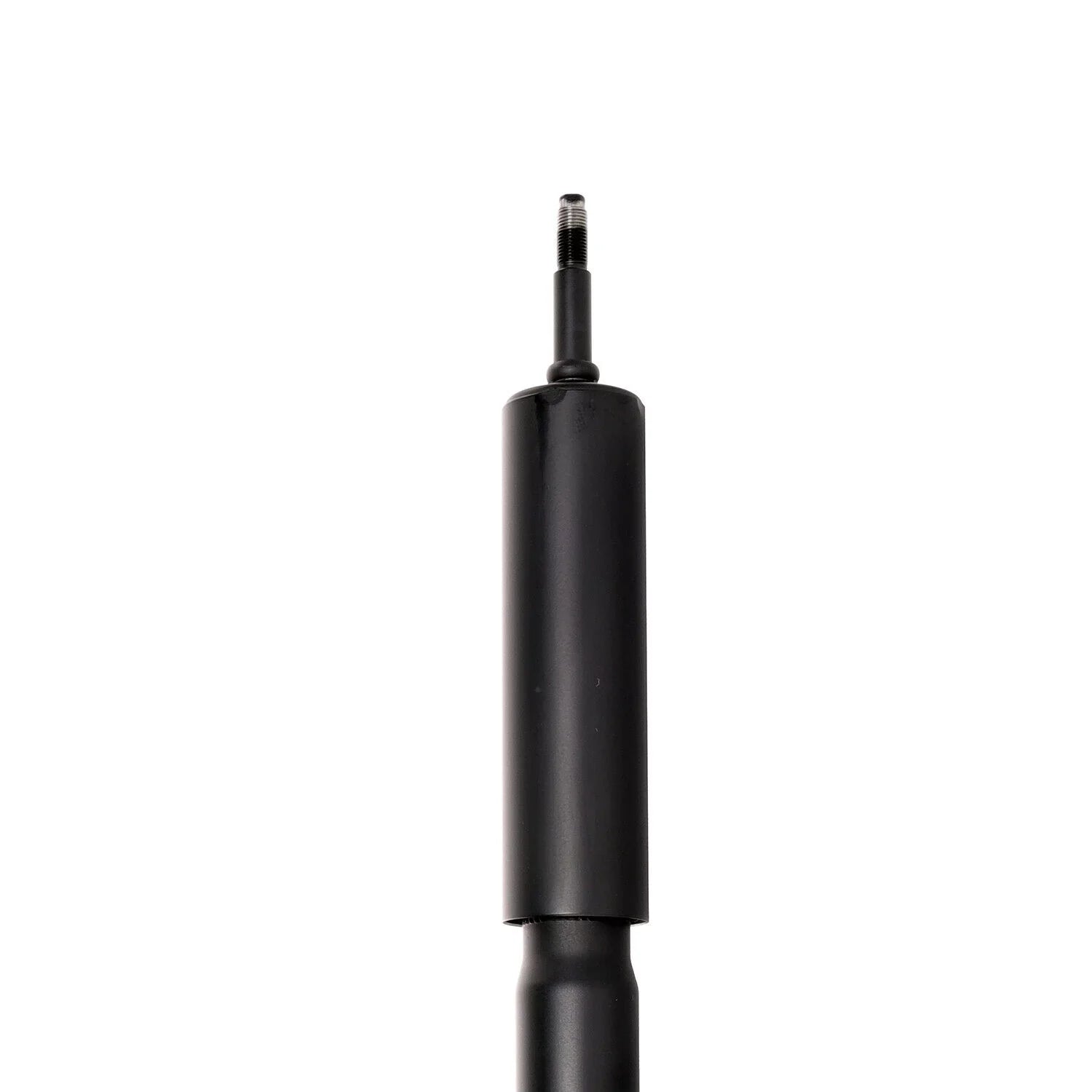 Rear Driver or Passenger Side Twin-Tube Shock Absorber Ford Mustang 1994-2004