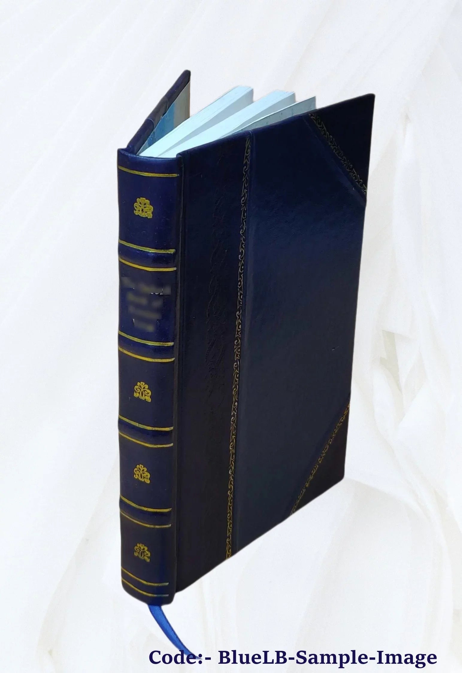 New England family history : a magazine devoted to the history of families of Maine and Massachusetts. Volume v.2 (1908-09) 1909 [Leather Bound]