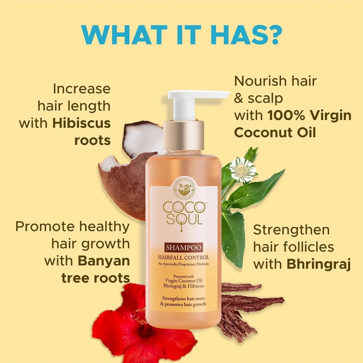 Coco Soul Hair Fall Control Shampoo with Ayurvedic Medicine | 100% Cold Pressed Virgin Coconut Oil | Bhringraj & Hibiscus | Sulphate & Paraben Free | From the M