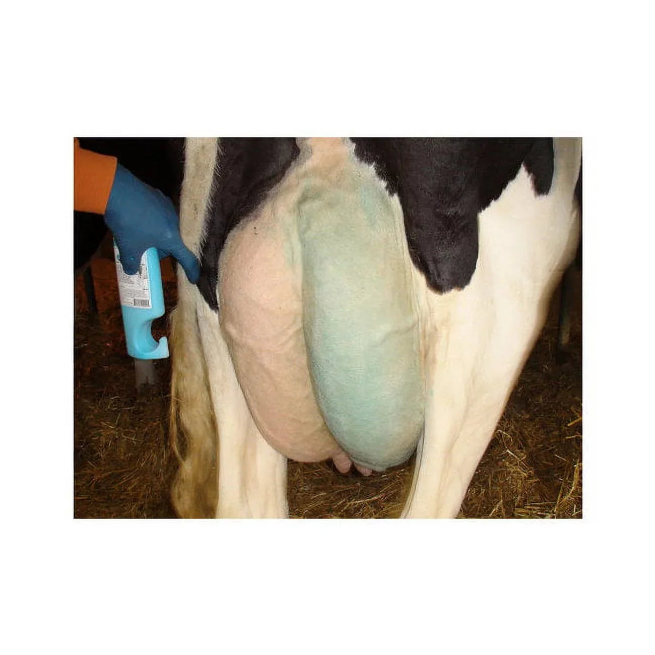 UDDER COMFORT INTERNATIONAL INC UDDER COMFORT LOTION 300ML MARKER 13055-1 - ALL