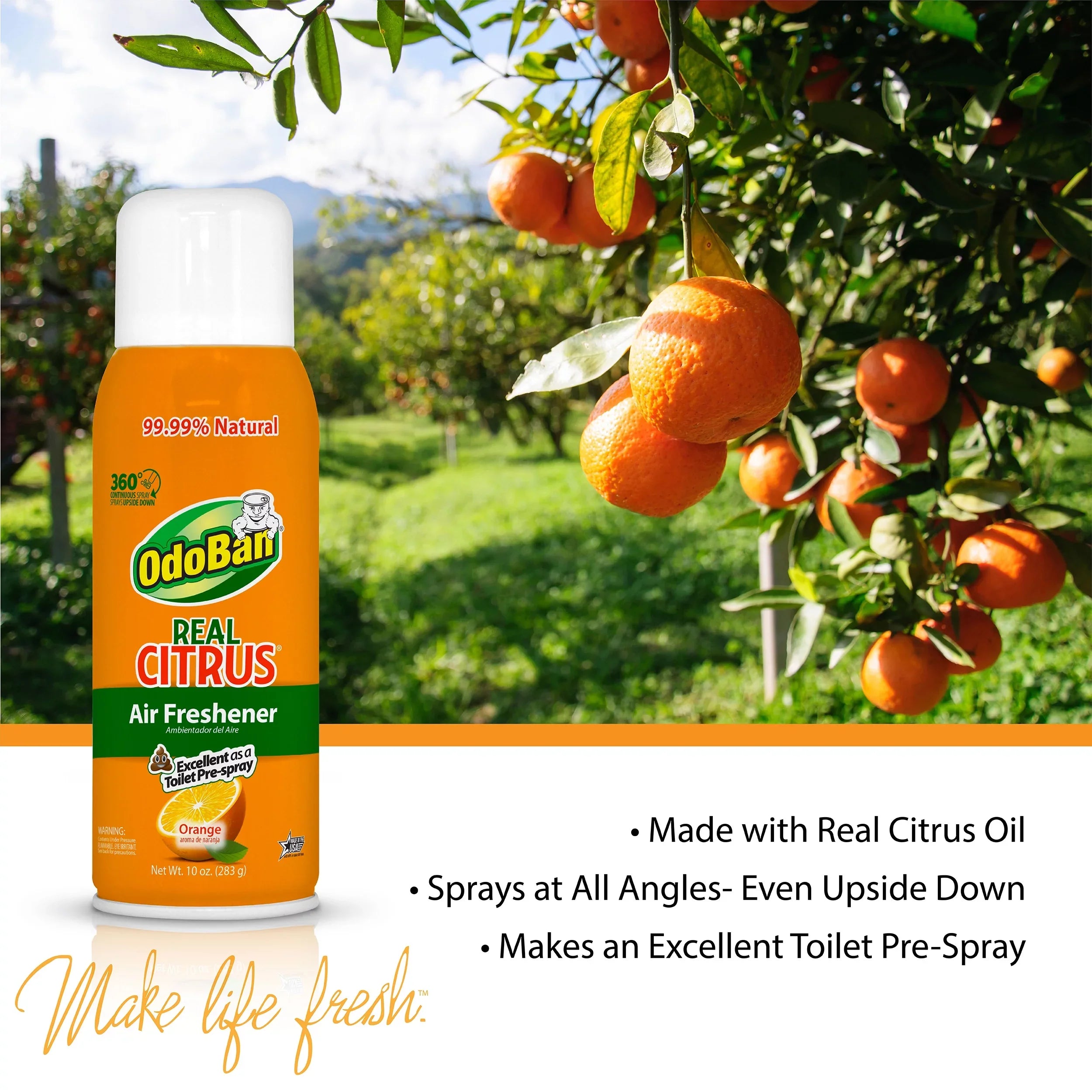 OdoBan Aroma Eliminator Set, 10 Ounce 360-Degree Continuous Spray Natural Oil Real Citrus Orange Air Freshener, 1 Gallon Multipurpose Disinfectant Cleaning Concentrate, 14 Ounce Solid Scent Absorber