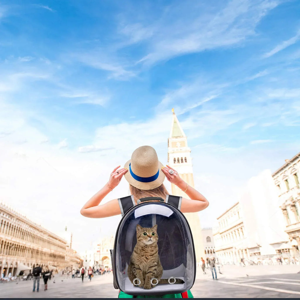 Bubble Pet Carrier Backpack,Airline-Approved Cats and Puppies,Designed Travel, Hiking, and Outdoor Adventures