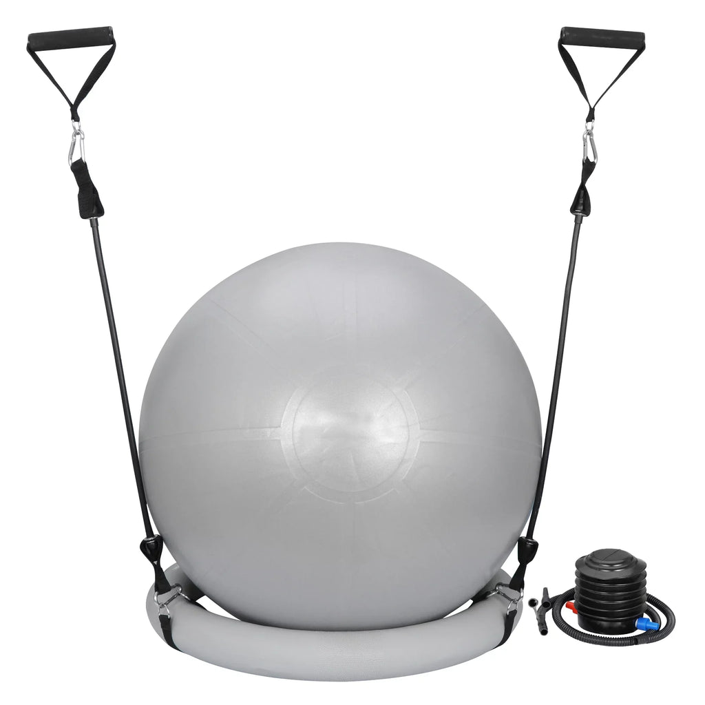 ZENSTYLE Exercise Ball Fitness Balls Stability Ball Anti- Burst Yoga,Pilates, Birthing, Balance & Fitness with Workout Guide & Quick Pump