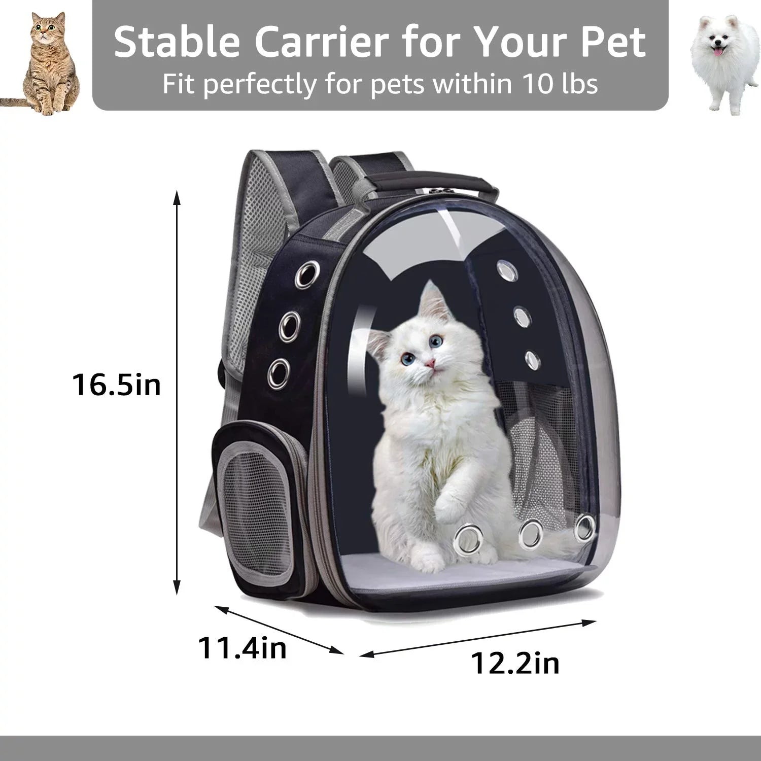 Bubble Pet Carrier Backpack,Airline-Approved Cats and Puppies,Designed Travel, Hiking, and Outdoor Adventures