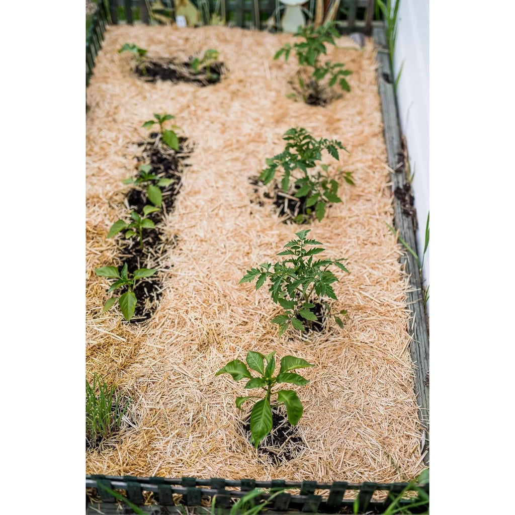 HealthiStraw GardenStraw Clean Premium Straw Mulch Gardening, Lawn Seeding and Composting, 3 Cu Ft (Garden Coating 100 sq ft)