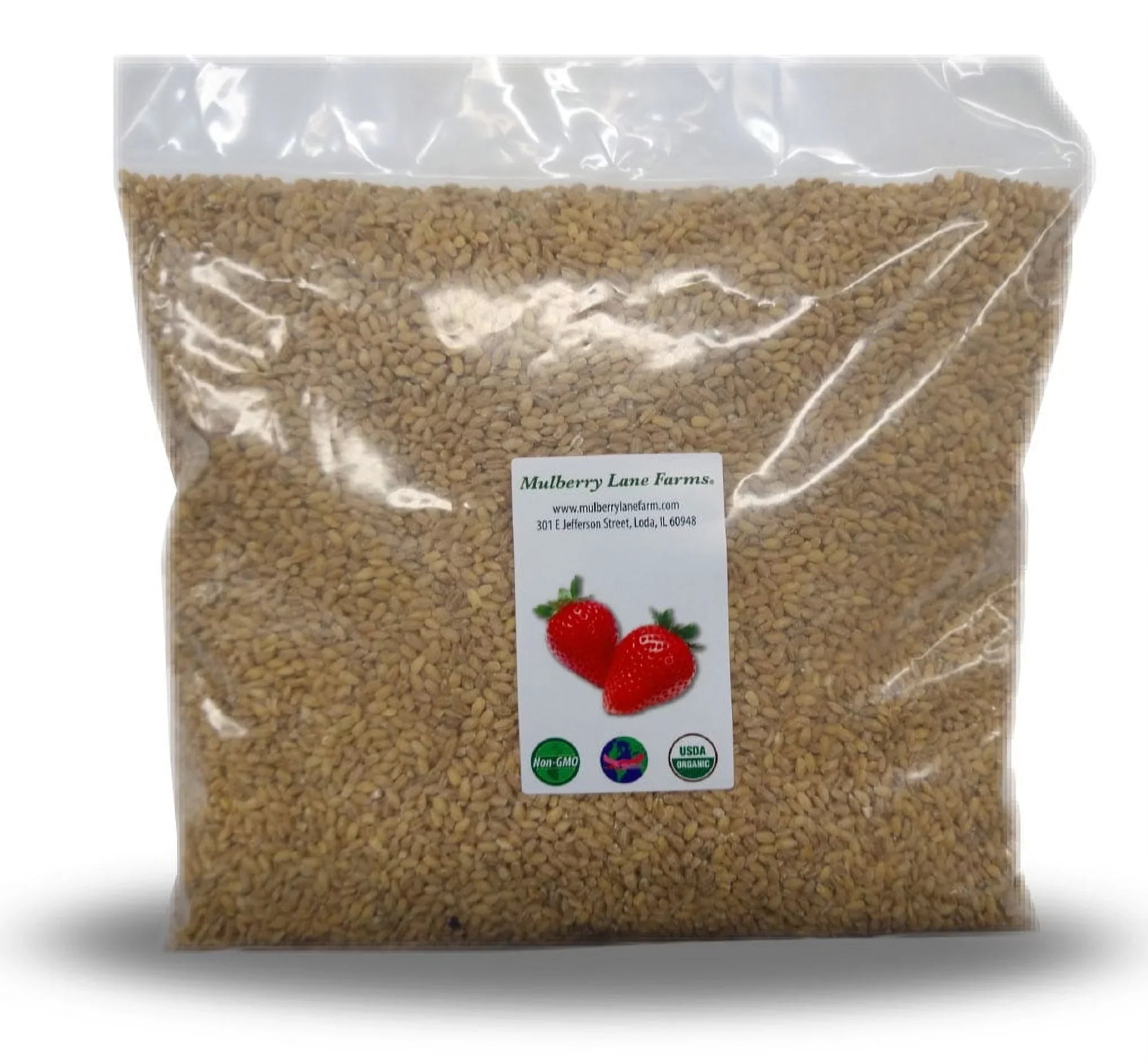 Hulled Barley Five Pounds (5 lbs) USDA Certified Organic Non-GMO, Bulk by Mulberry Lane Farms