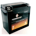 Chrome Battery Yb16cl-bs Pwc Battery Kawasaki (jet Ski) Js300 Ts, Sx Year (86-91)