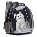 Bubble Pet Carrier Backpack,Airline-Approved Cats and Puppies,Designed Travel, Hiking, and Outdoor Adventures