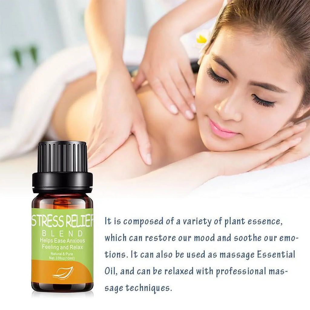 drdong-Natural and Pure TOP 12 Premium Essential Oil Blends-Breathe Ease, Health Shield, Calming…