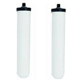 661RFC Mountain Pure Replacement Cartridge For Water Filtration System. [Two Pack]