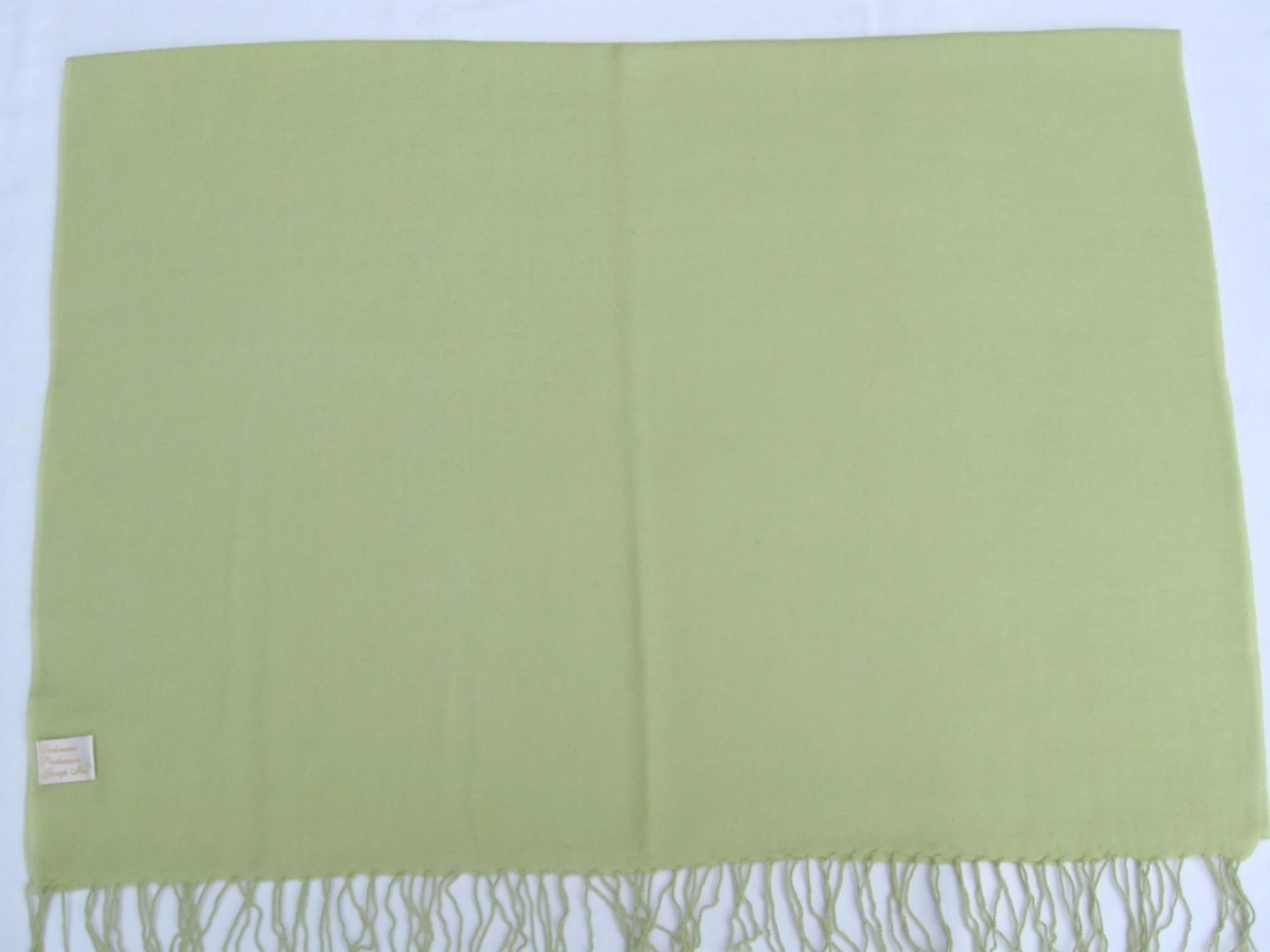 Scarf/Scarves/Shawl/Shawls/Stole/Wrap/Pashmina Scarf/Pashmina Shawl/Cashmere/Cashmere Scarf/Wool/Silk (Mint Green)