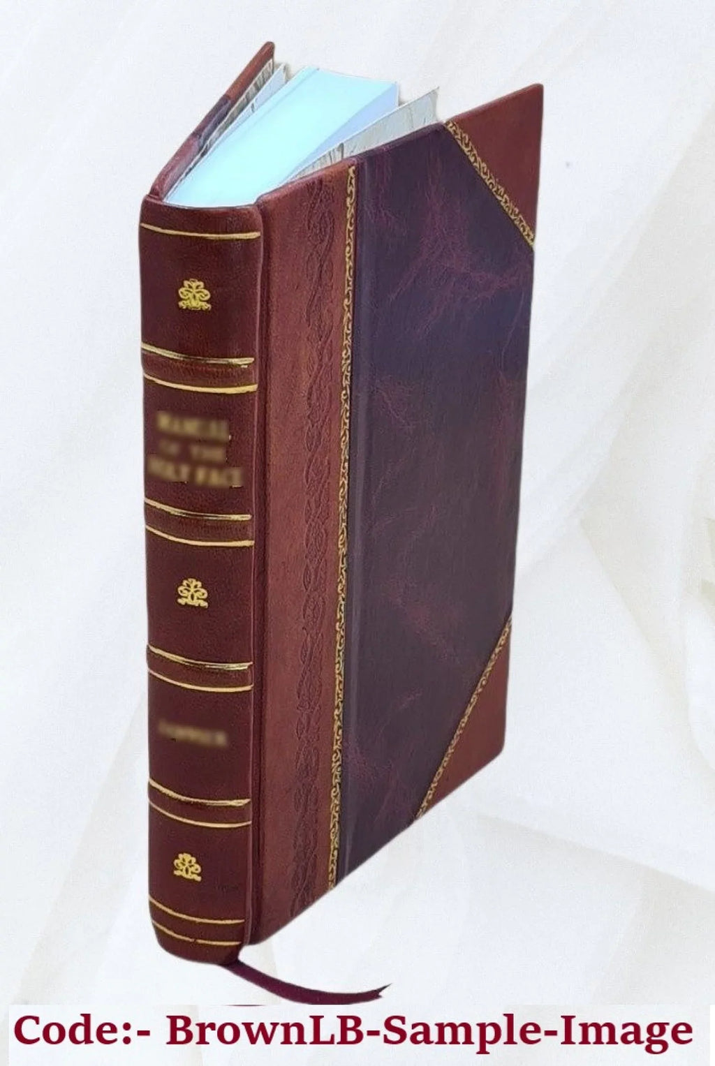 Mets ochirě : haykakan verjin kotoratsnerě ew Tʻalēatʻ Pʻasha : pashtōnakan heṛagirner / Aram Antonean. 1921 [Leather Bound]
