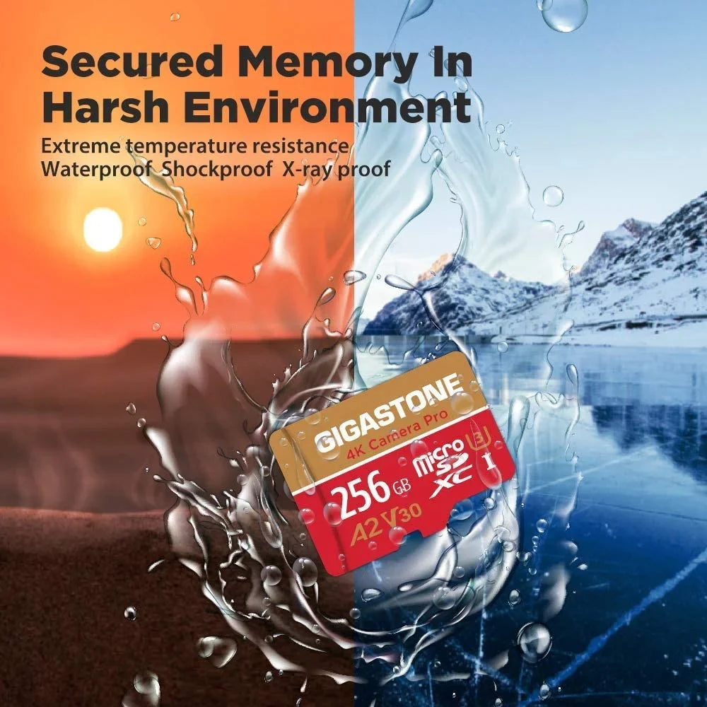 Gigastone 256GB Micro SD Card, 4K Video Recording, 4K Camera Pro, Suitable with Nintendo Switch, Dash Cam, GoPro Cameras, R/W up to 100/50 MB/s, Micro SDXC UHS-I A1 V30 Class 10, 2 Pack (2x256GB)
