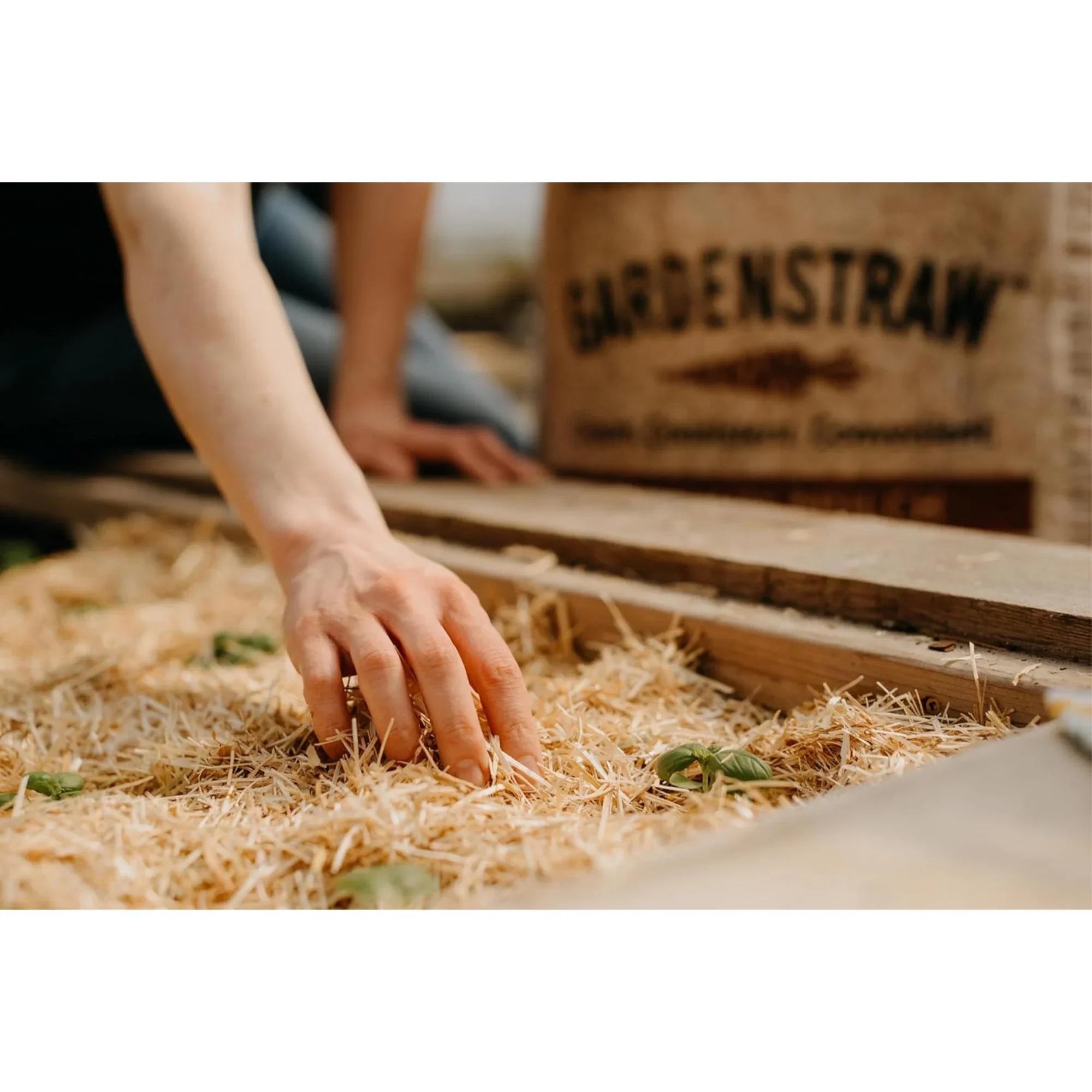 HealthiStraw GardenStraw Clean Premium Straw Mulch Gardening, Lawn Seeding and Composting, 3 Cu Ft (Garden Coating 100 sq ft)