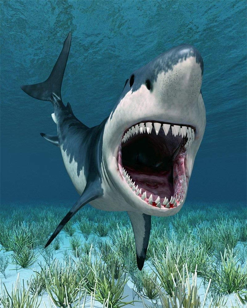 ABPHOTO Polyester 5x7ft Cartoon Shark Backdrop Underwater World Green Grass Aquarium Ocean Sailing Photography Background Baby Shower Girls Boys Happy Birthday Party Décor Photo Studio Props