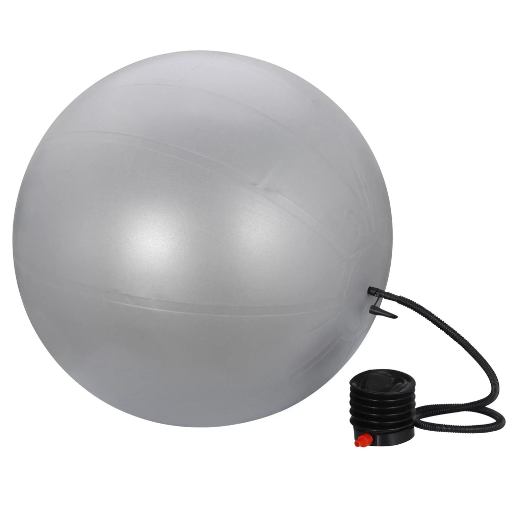 ZENSTYLE Exercise Ball Fitness Balls Stability Ball Anti- Burst Yoga,Pilates, Birthing, Balance & Fitness with Workout Guide & Quick Pump