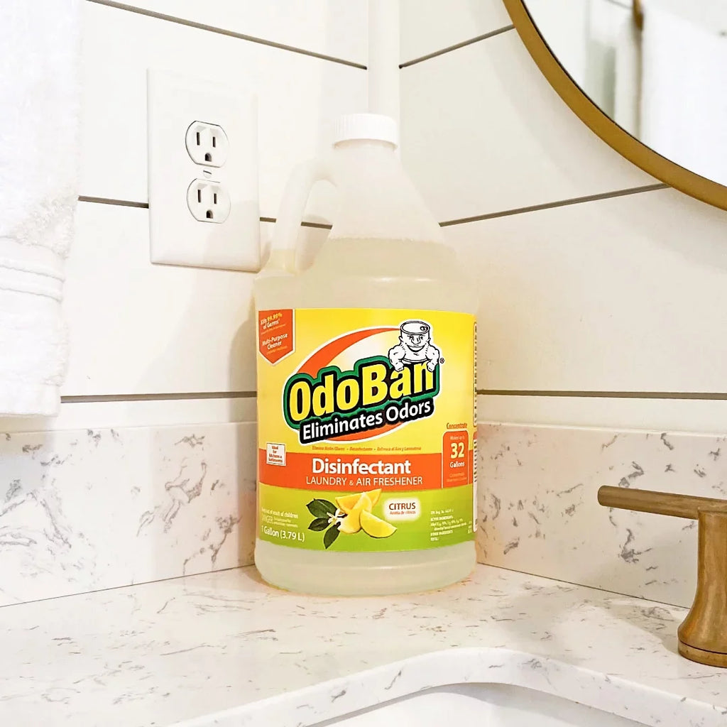 OdoBan Aroma Eliminator Set, 10 Ounce 360-Degree Continuous Spray Natural Oil Real Citrus Orange Air Freshener, 1 Gallon Multipurpose Disinfectant Cleaning Concentrate, 14 Ounce Solid Scent Absorber