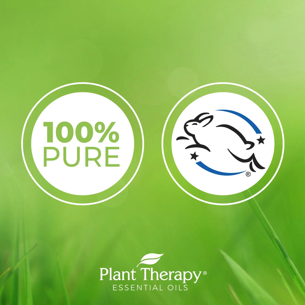 Plant Therapy Peppermint Essential Oil 100% Pure, Undiluted, Natural Aromatherapy, Therapeutic Grade 100 mL (3.3 fl oz)