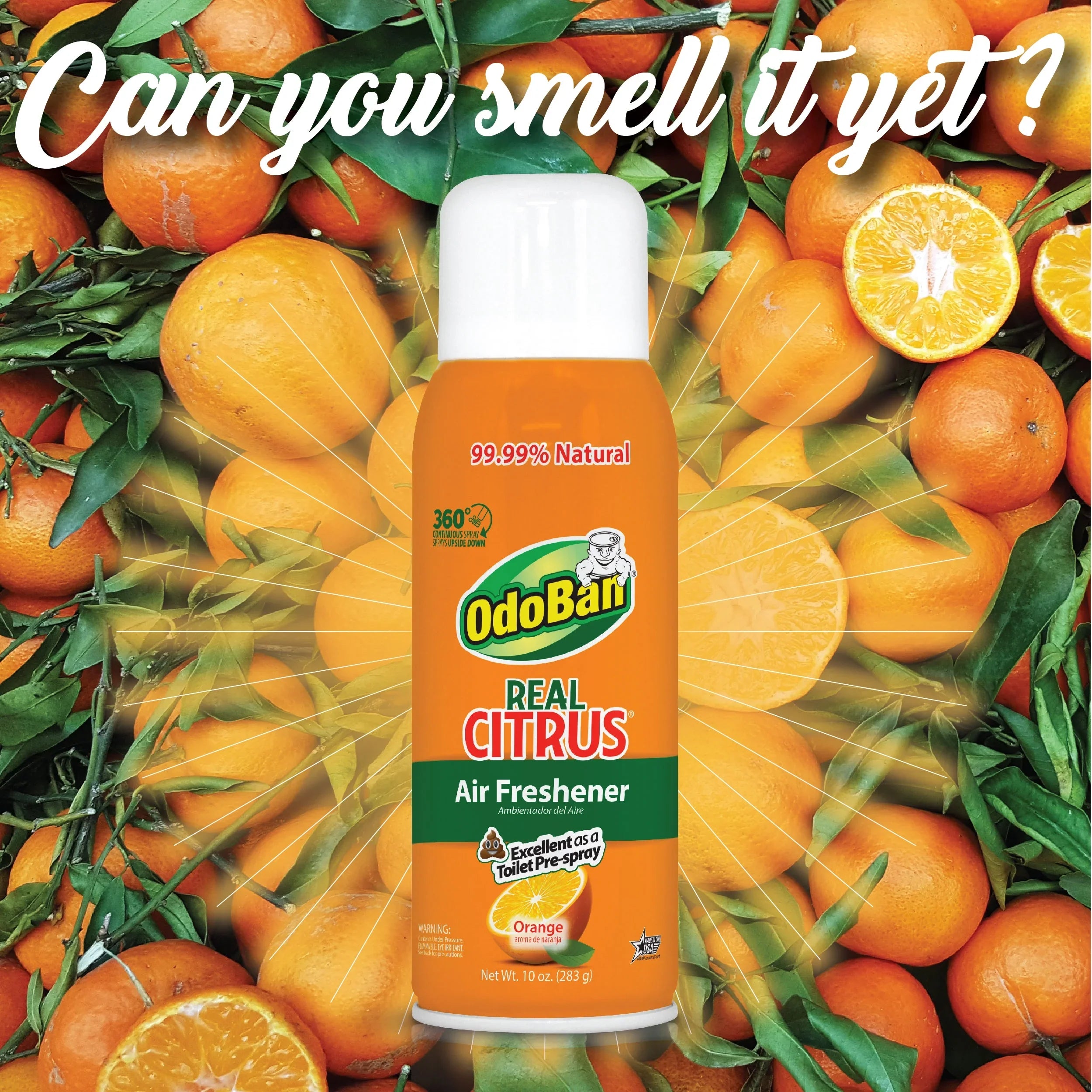 OdoBan Aroma Eliminator Set, 10 Ounce 360-Degree Continuous Spray Natural Oil Real Citrus Orange Air Freshener, 1 Gallon Multipurpose Disinfectant Cleaning Concentrate, 14 Ounce Solid Scent Absorber